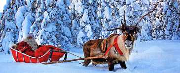 R�veillons en Laponie